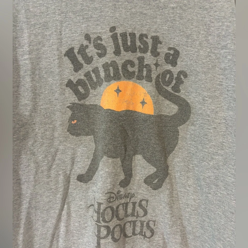 Disney Women’s Large Gray Halloween Hocus Pocus Sweatshirt Black Cat Pullover - Picture 2 of 5